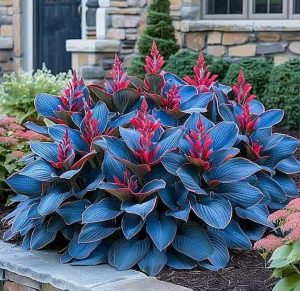 Хоста Грин Фог купить по цене от 669р. в интернет-магазине «Посадика» с доставкой почтой в в Гусь-Хрустальныйе и по всей России – [изображение №1].