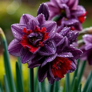 Нарцисс Минт Флер купить по цене от 2000р. в интернет-магазине «Посадика» с доставкой почтой в в Гусь-Хрустальныйе и по всей России – [изображение №1].